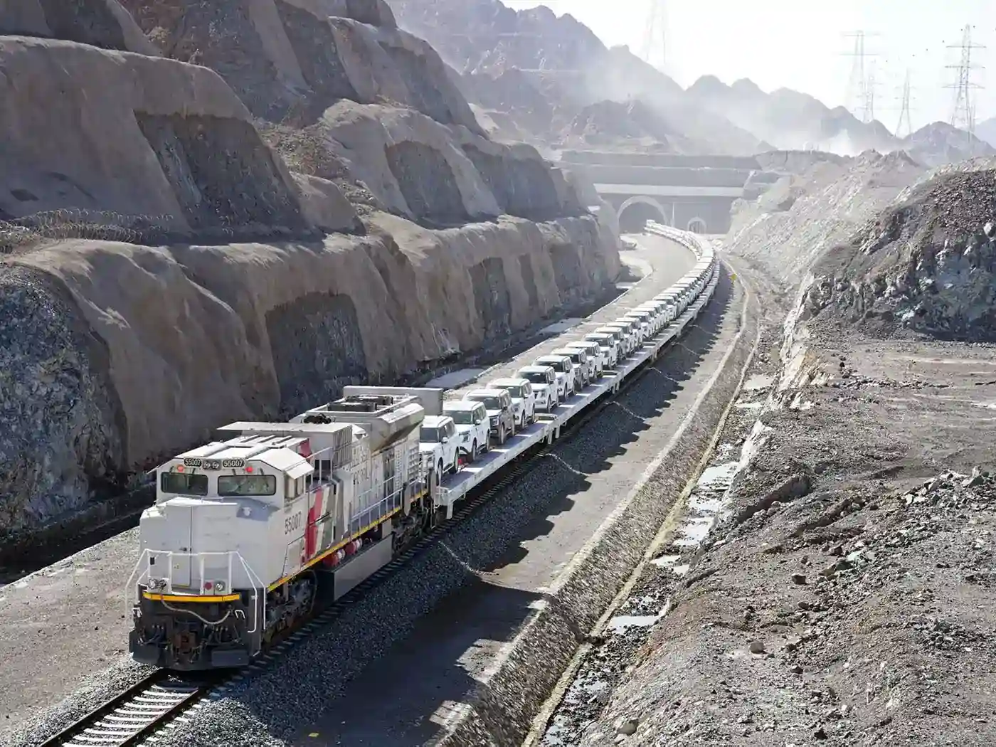 UAE Completes First Rail Shipment Of Passenger Vehicles