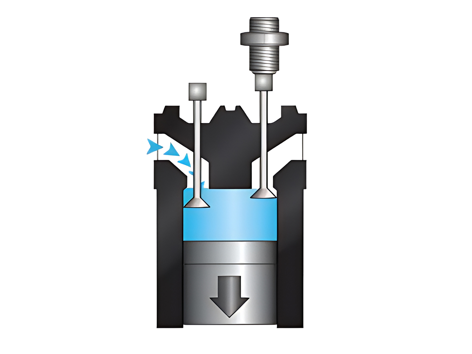 Intake And Exhaust Valves