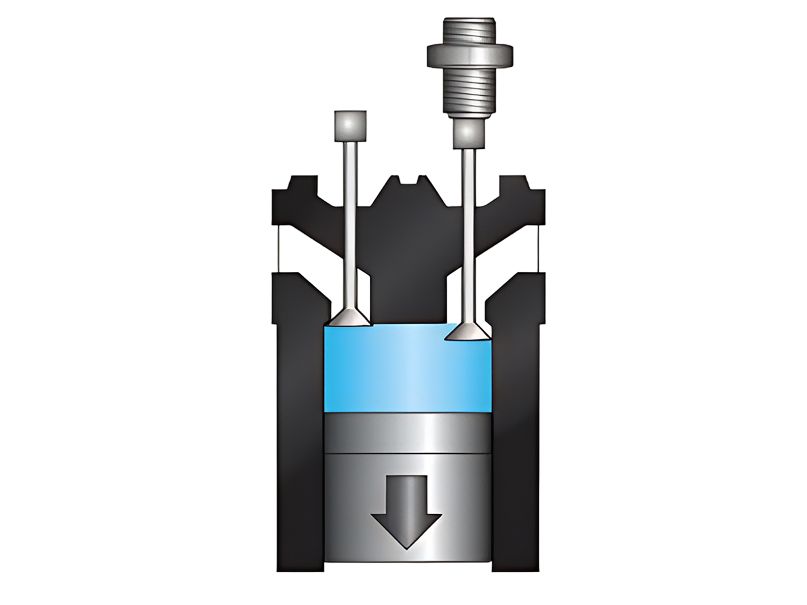 Intake And Exhaust Valves