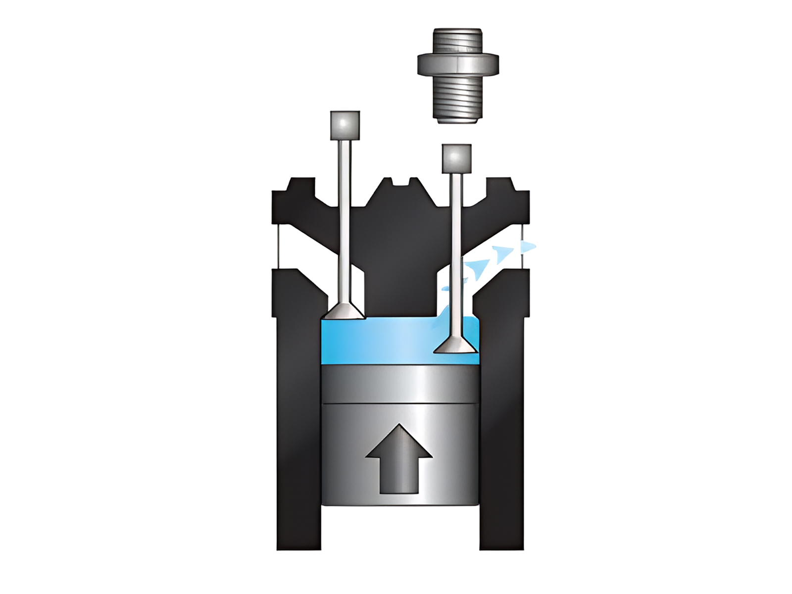 Intake And Exhaust Valves