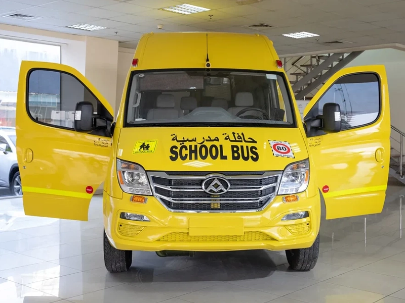 Maxus V80