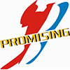 Logo Qingdao Promising