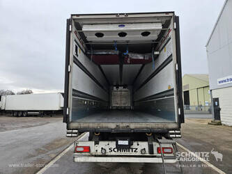 2019-schmitz-cargobull-others-1236391-37930247