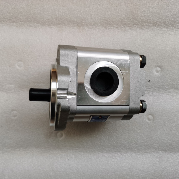 2025 Qingdao Promising Hydraulic Pump CBWA-F314-AL5Φ9-39713486