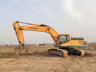 Image de 2019 Hyundai 385LC-9T