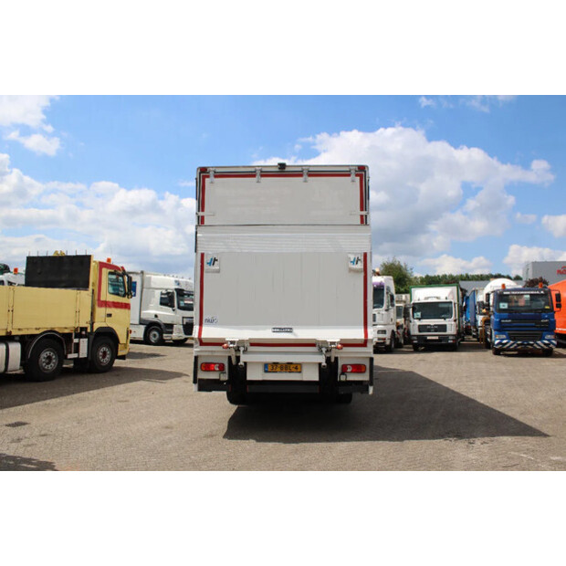 2013 Scania P230-39930625