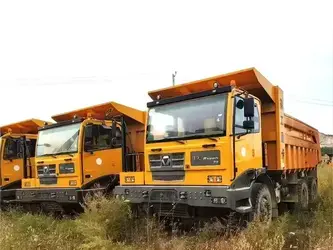 صورة ل شاحنات قلابة مفصلية اكس سي ام جي NXG5550DT