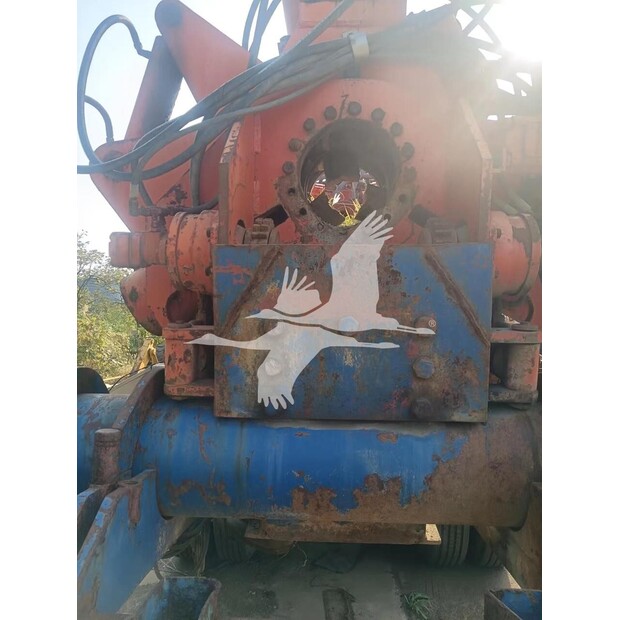 امريكان اوجرز DD220-40977960