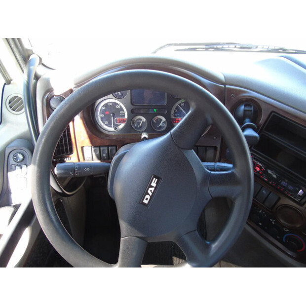 2009 DAF XF 105.460-41028184