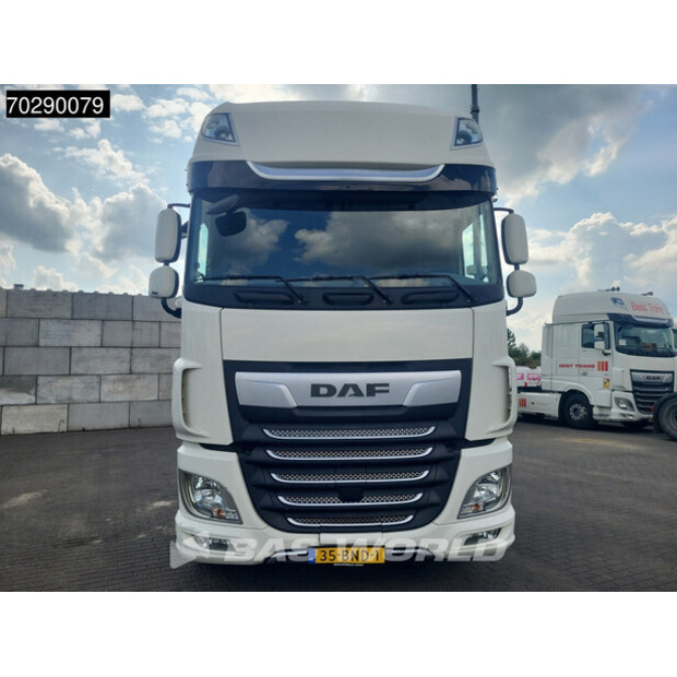 2019 DAF XF 480-41185060