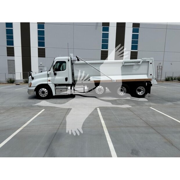 2016 فريتلاينر CASCADIA 125-41185323