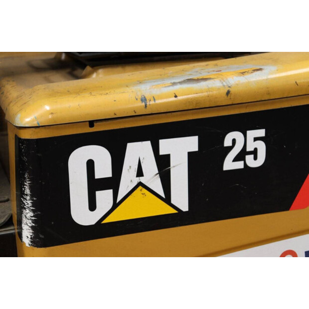 2010 Caterpillar EP25K-PAC-41343260