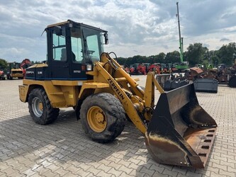 صورة ل شيولات زبلين ZL100