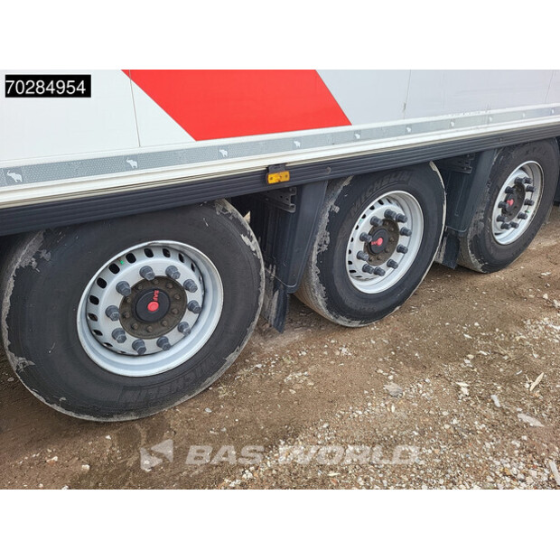 2018 شميتز كارجوبول THERMOKING SLXi SPECTRUM-41481819
