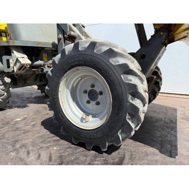 2017 واكر نيوسون 1501-41521826