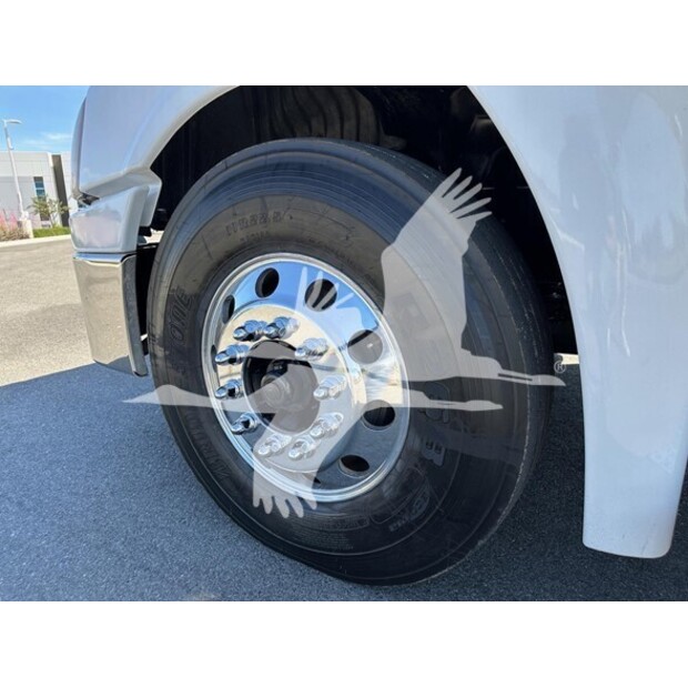2018 فريتلاينر CASCADIA 125-41635309