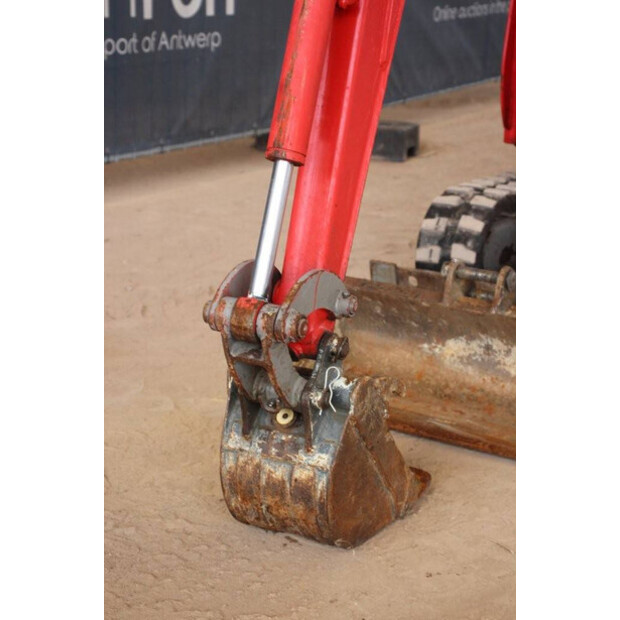 Neuson 803-41739917