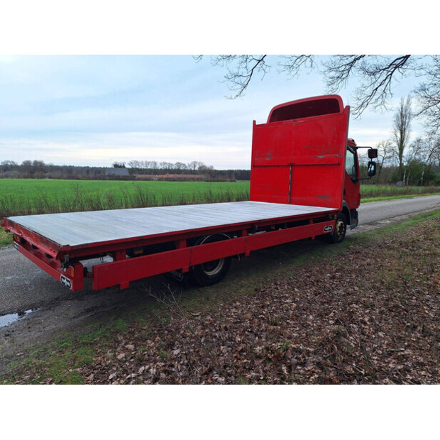 2009 DAF LF45-41764843