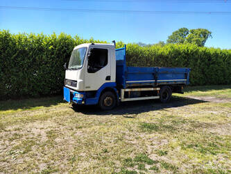 Image de VÉHICULES UTILITAIRES 2001 DAF LF 45