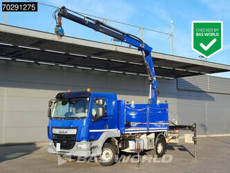 Image de CAMIONS À PLATEAU 2017 DAF LF 260
