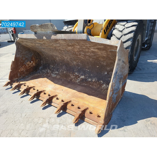 2021 Liebherr L556-41851376