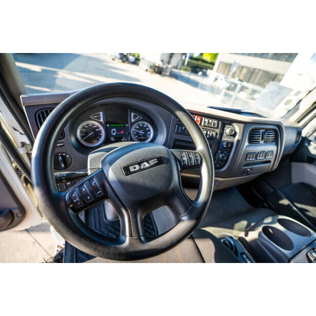 2019 DAF LF 320-42022591