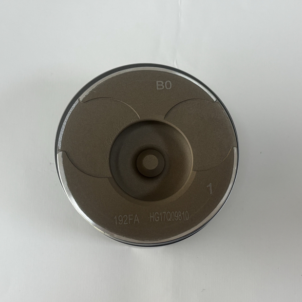 2025 Koop Genuine Piston for KD192FC Engine-42038667