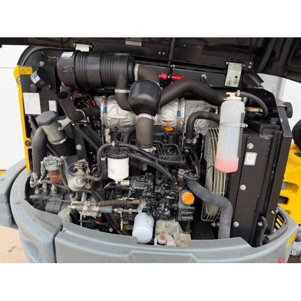 2019 WACKER NEUSON EZ36-42062391