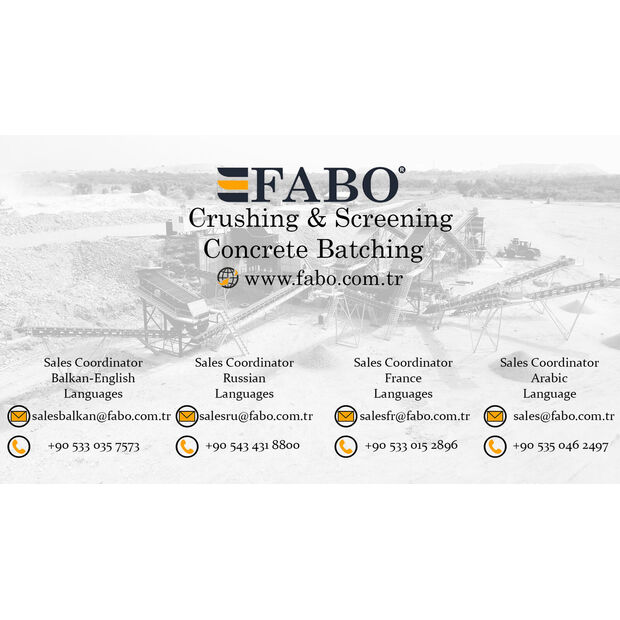 2025 FABO STATIONARY TYPE 250-350 T/H-42156244