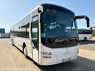 Image for BUSES 2015 MAN LIONS REGIO