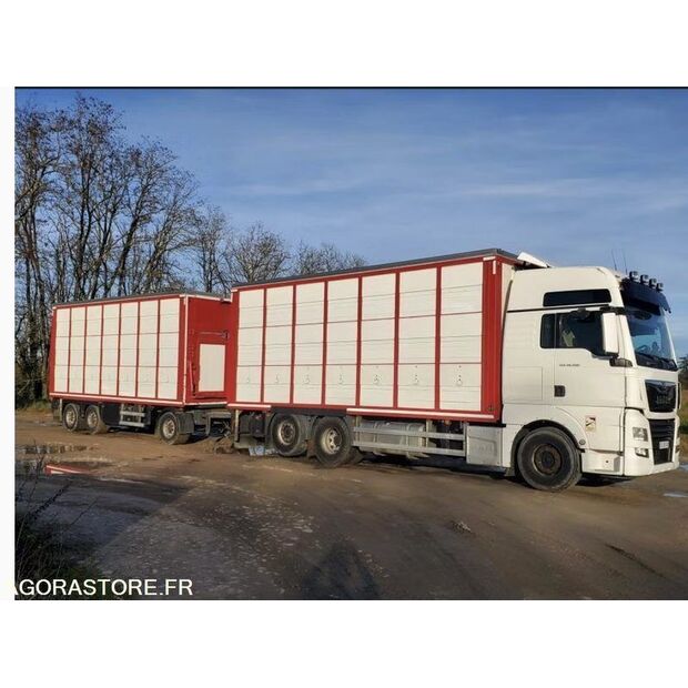 2017 MAN TGX 26.500-42261468