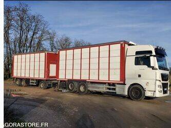 Image de Camions bétaillères 2017 MAN TGX 26.500