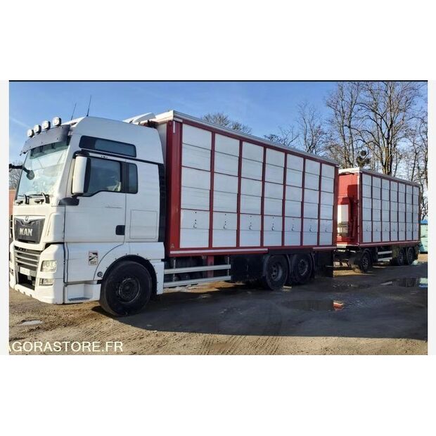 2017 MAN TGX 26.500-42261469
