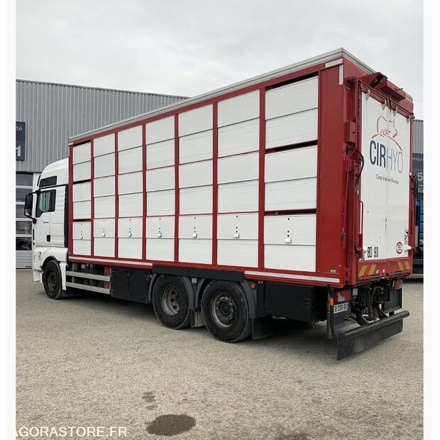 2017 MAN TGX 26.500-42261472