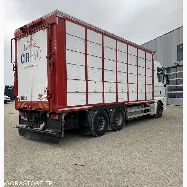 2017 MAN TGX 26.500-42261482