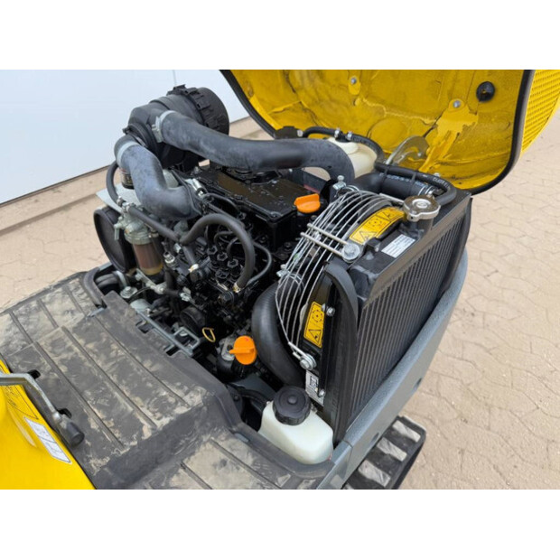2018 WACKER NEUSON 803-42273379