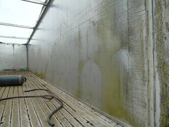 1997-stas-others-42273962