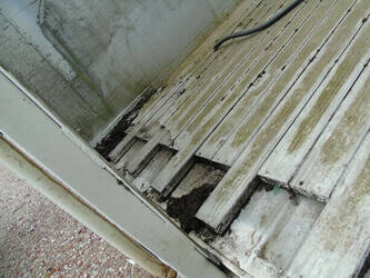 1997-stas-others-42273963