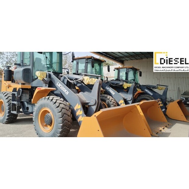 2022 XCMG LW300KN-42302830