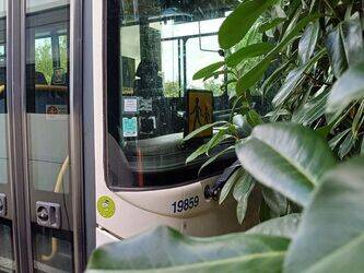 Image for BUSES 2010 IRISBUS RECREO