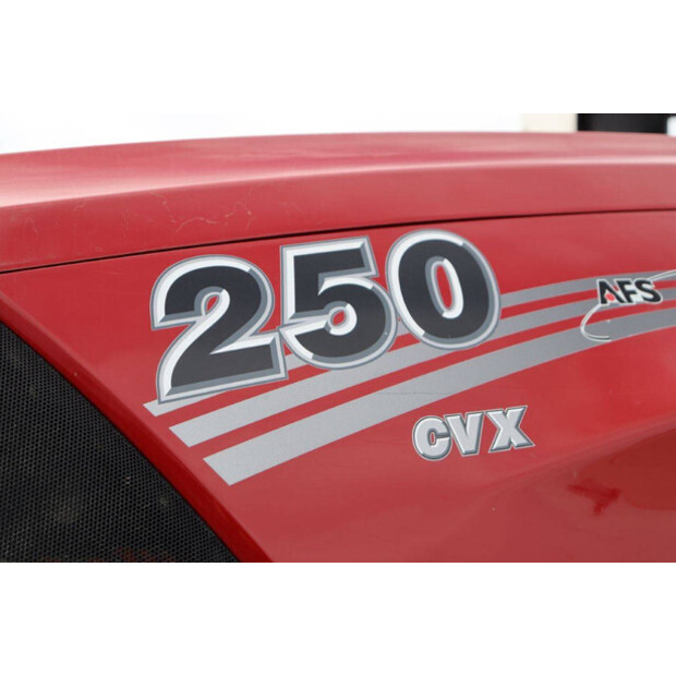 2019 كاس IH Optum 250 CVX-42406289