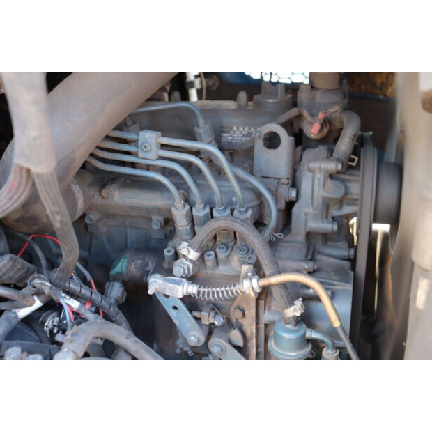 Pitbull V1505D-42606071