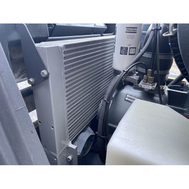 2013 Atlas-Copco XAS 97 DD - N-42729080