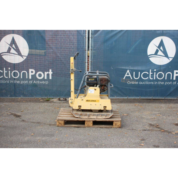 Baumax RVP 42/57-42809473
