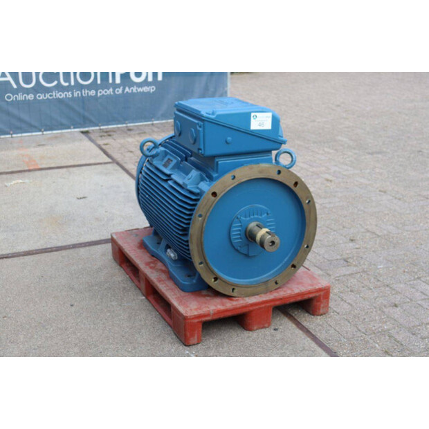 Other W22-42830943