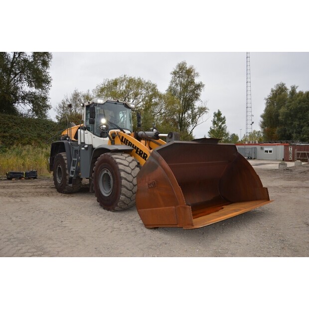 2021 Liebherr L580 X-Power-42921891