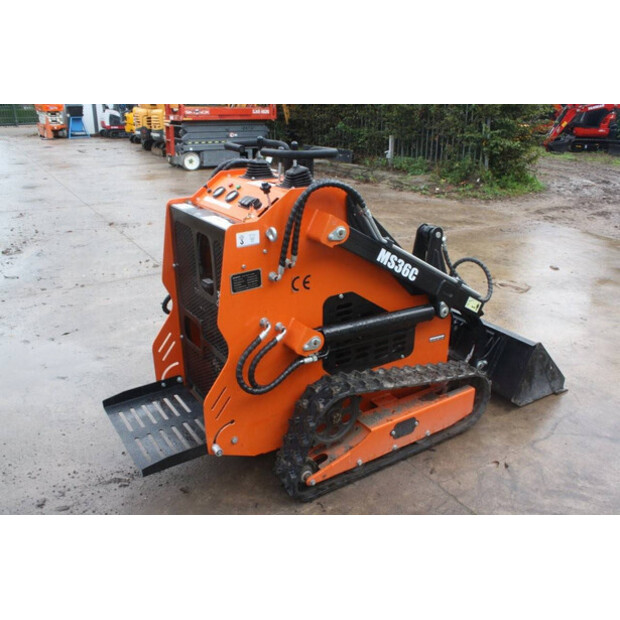 2025 MMS MS36C-43011284