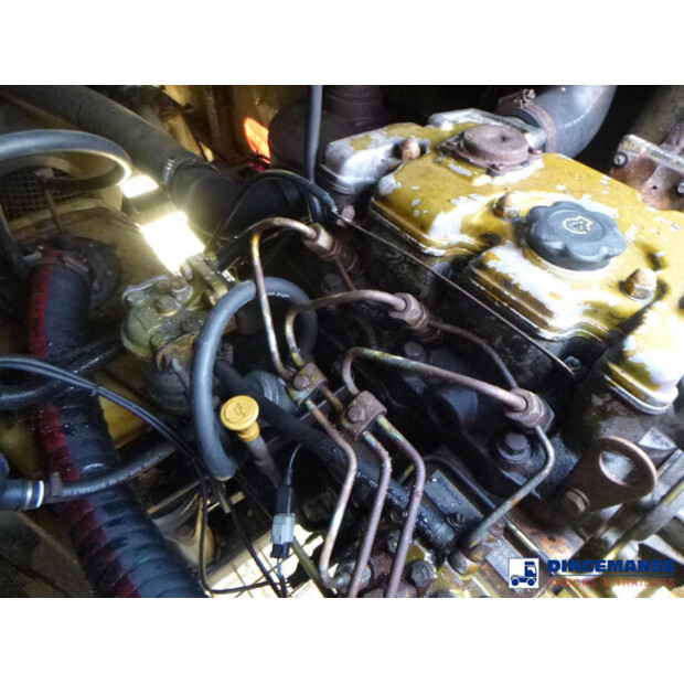 2006 WHALE OTHERS-43072006