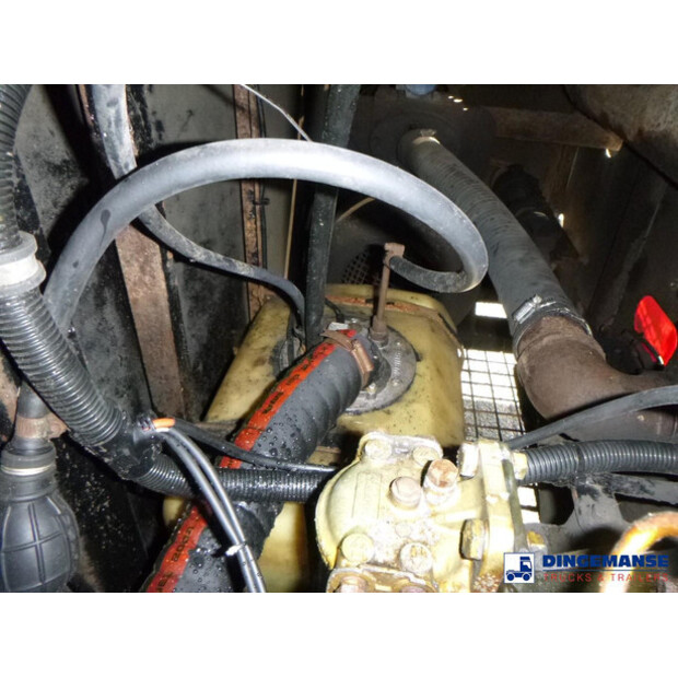 2006 WHALE OTHERS-43072010