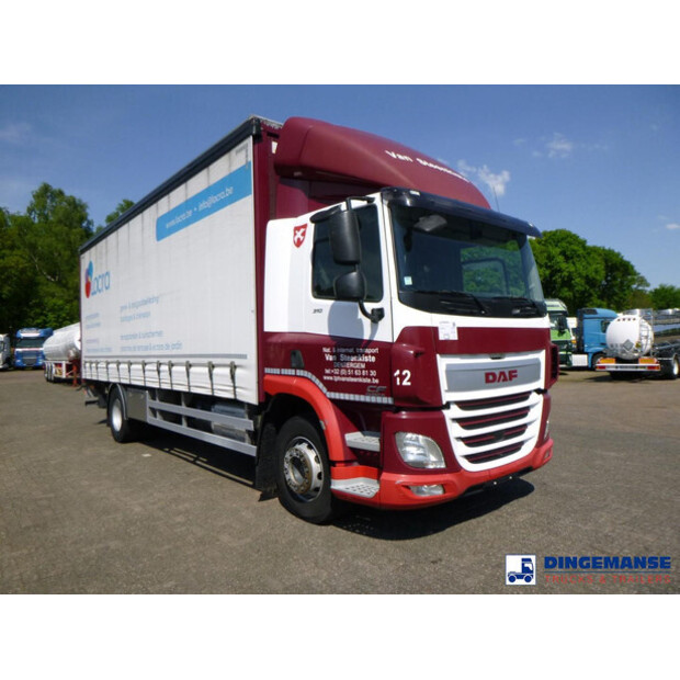 2017 DAF CF 310-43072919